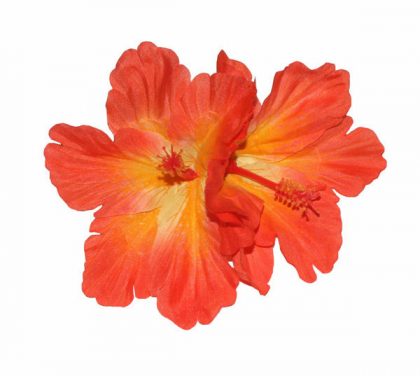 Debra Double Orange Hibiscus Hair Flower